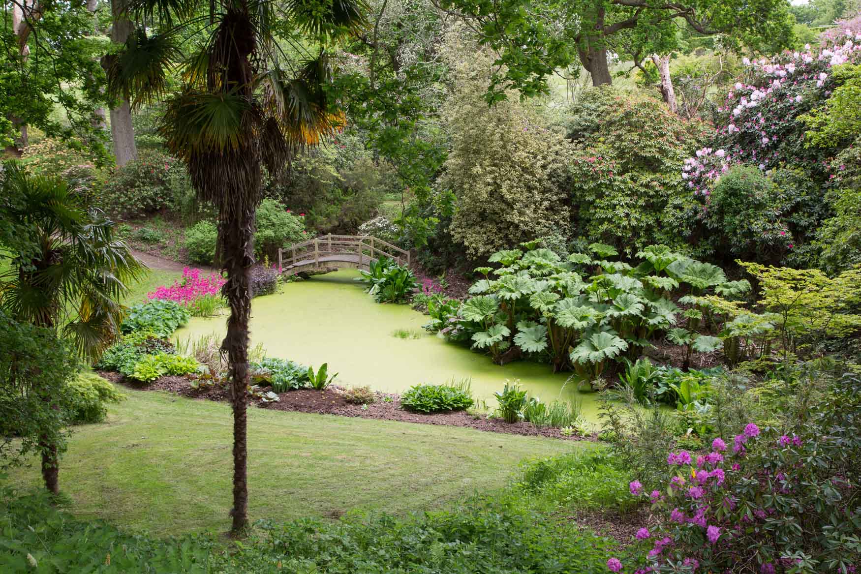 Dogs are Welcome at Hole Park Gardens