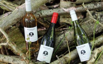 Vineyard & Steam Tours