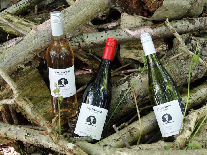 Vineyard & Steam Tours