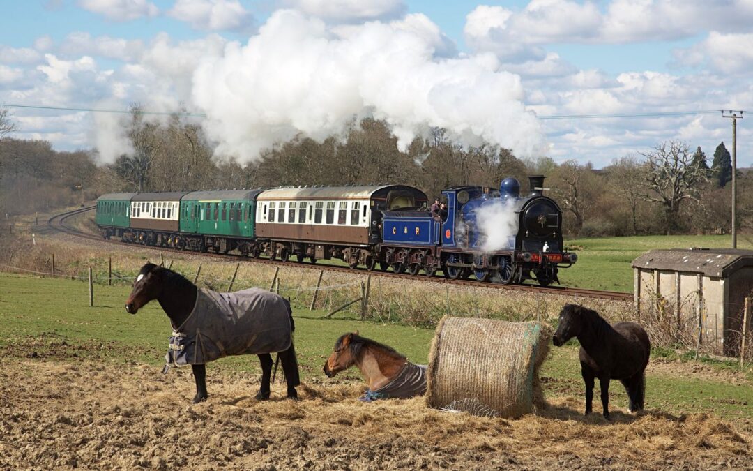 Family Days Out at Historic Tunbridge Wells Steam Railway