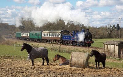 Family Days Out at Historic Tunbridge Wells Steam Railway