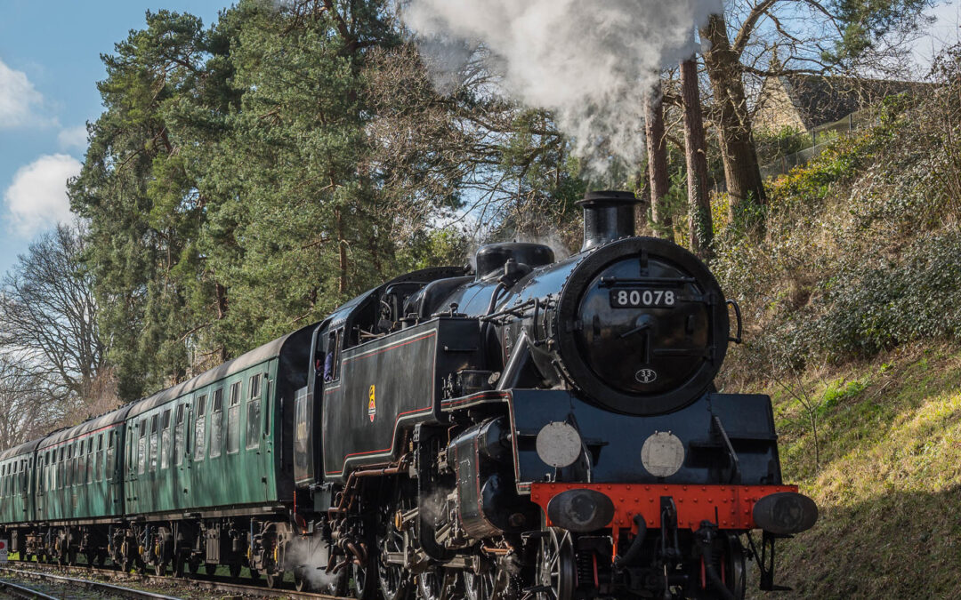Alice’s Wonderland Express!