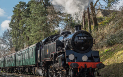 Alice’s Wonderland Express!