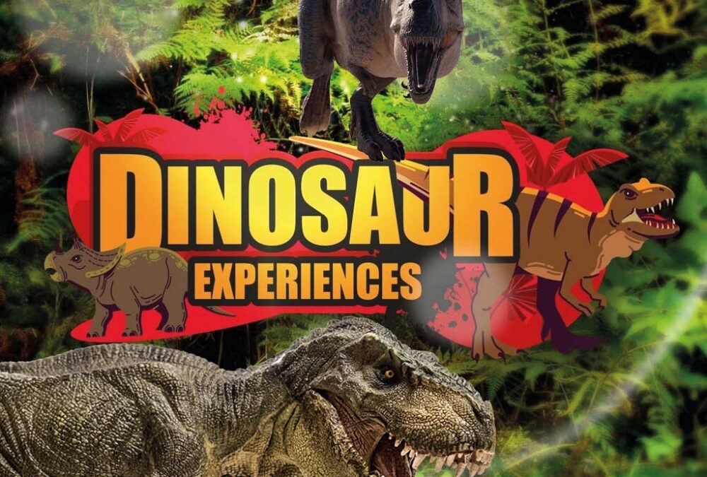 The Dinosaur Express in the summer school holidays