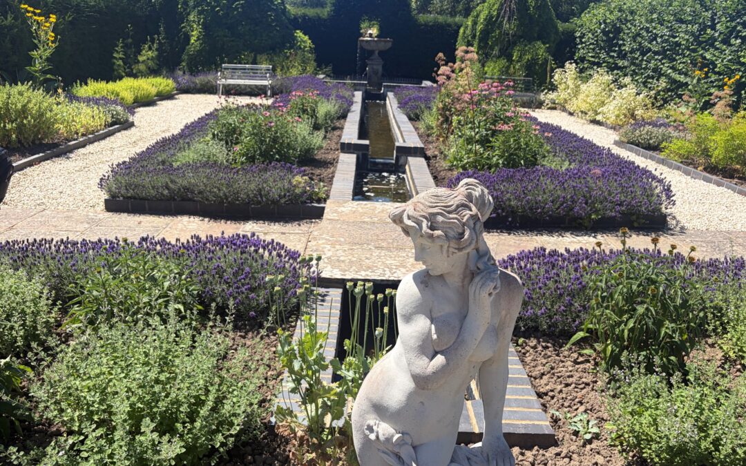 Lavender Heaven at Merriments Gardens